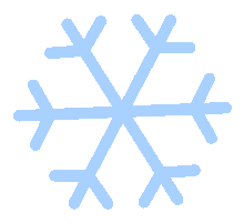 必一运动官网热雪奇观：四时室内雪场赋能全民滑雪与竞技人材培养｜第七届“中国效劳”(图2)